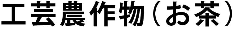 工芸農作物(お茶)